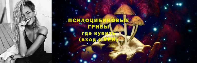 купить наркоту  Боготол  Галлюциногенные грибы MAGIC MUSHROOMS 