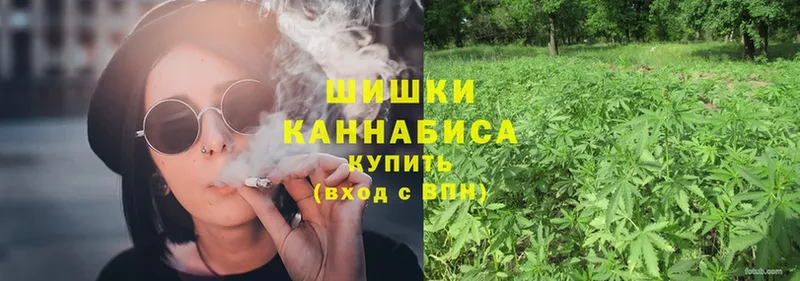 Шишки марихуана OG Kush  Боготол 